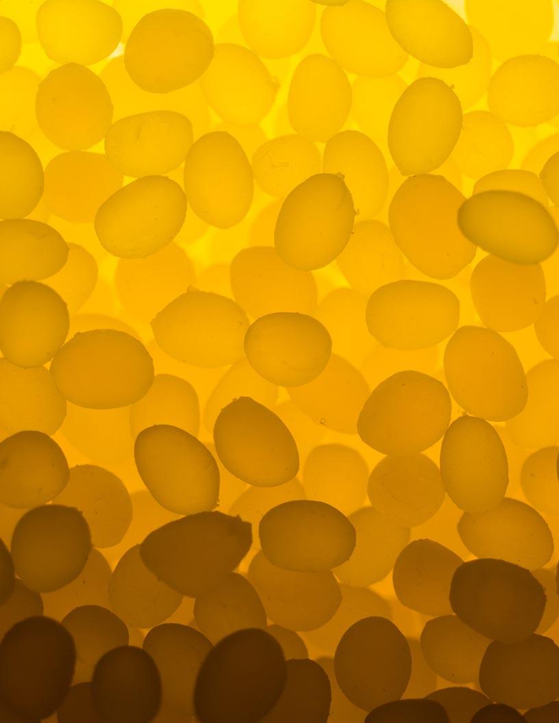 Elastomer Coated Fabric Market Analysis North America, Europe, APAC, Middle East and Africa, South America - US, Germany, UK, China, India - Size and Forecast 2024-2028