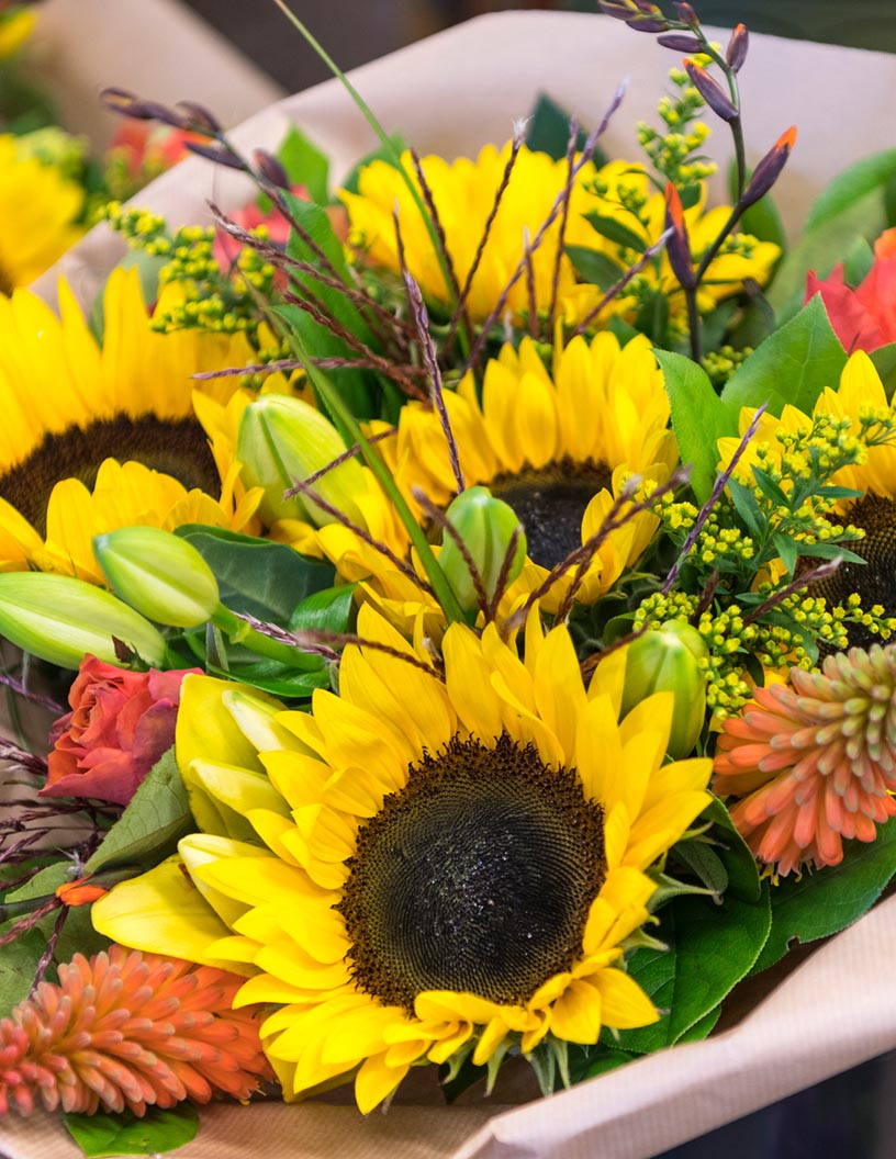 Sunflower Market Analysis Europe, APAC, South America, North America, Middle East and Africa - Russia, Ukraine, Argentina, China, Romania - Size and Forecast 2024-2028