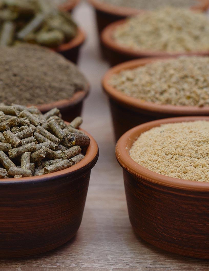 Animal Feed Additives Market Analysis, Size, and Forecast 2025-2029: North America (US and Canada), Europe (France, Germany, Italy, and UK), Middle East and Africa (Egypt, KSA, Oman, and UAE), APAC (China, India, and Japan), South America (Argentina and Brazil), and Rest of World (ROW)