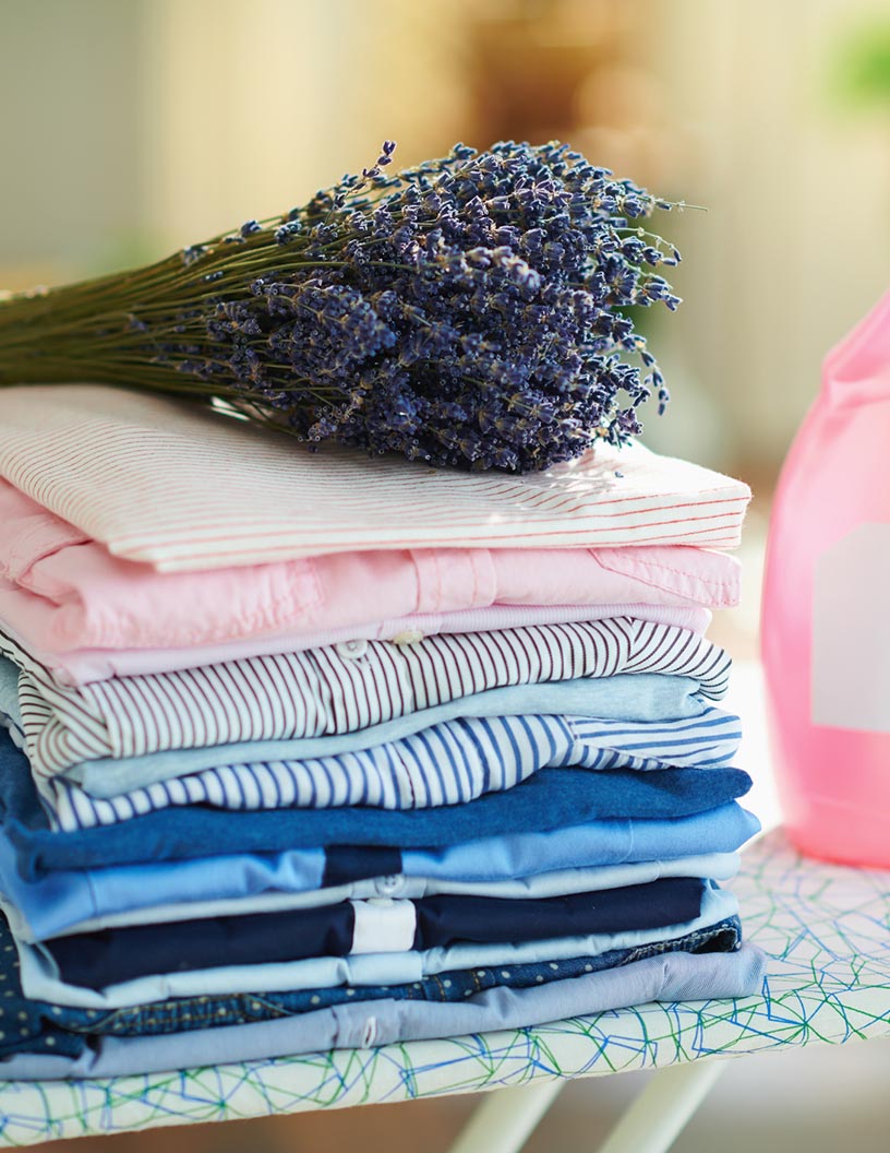 Fabric Softeners And Conditioners Market Analysis North America, APAC, Europe, Middle East and Africa, South America - US, China, Japan, Germany, Canada - Size and Forecast 2024-2028