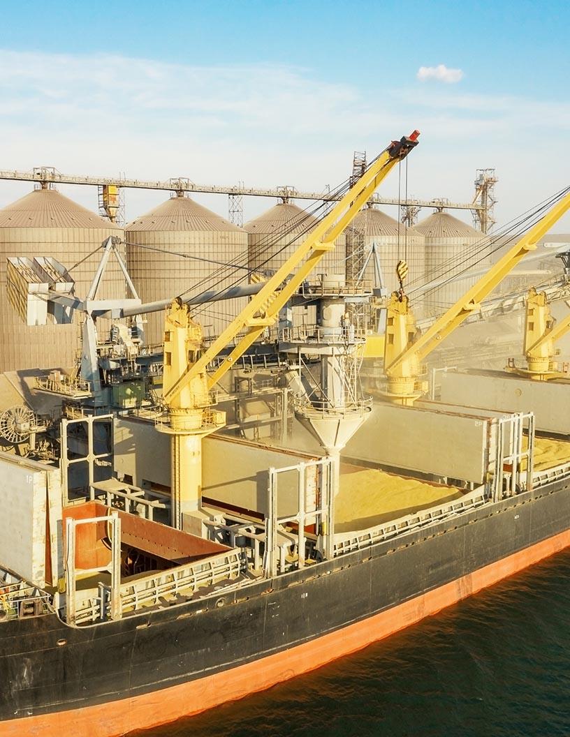 Liquefied Natural Gas (LNG) Bunkering Market Analysis, Size, and Forecast 2025-2029: North America (US), Europe (Denmark, France, Germany, Norway, The Netherlands, and UK), APAC (China, Japan, and Singapore), and Rest of World (ROW)