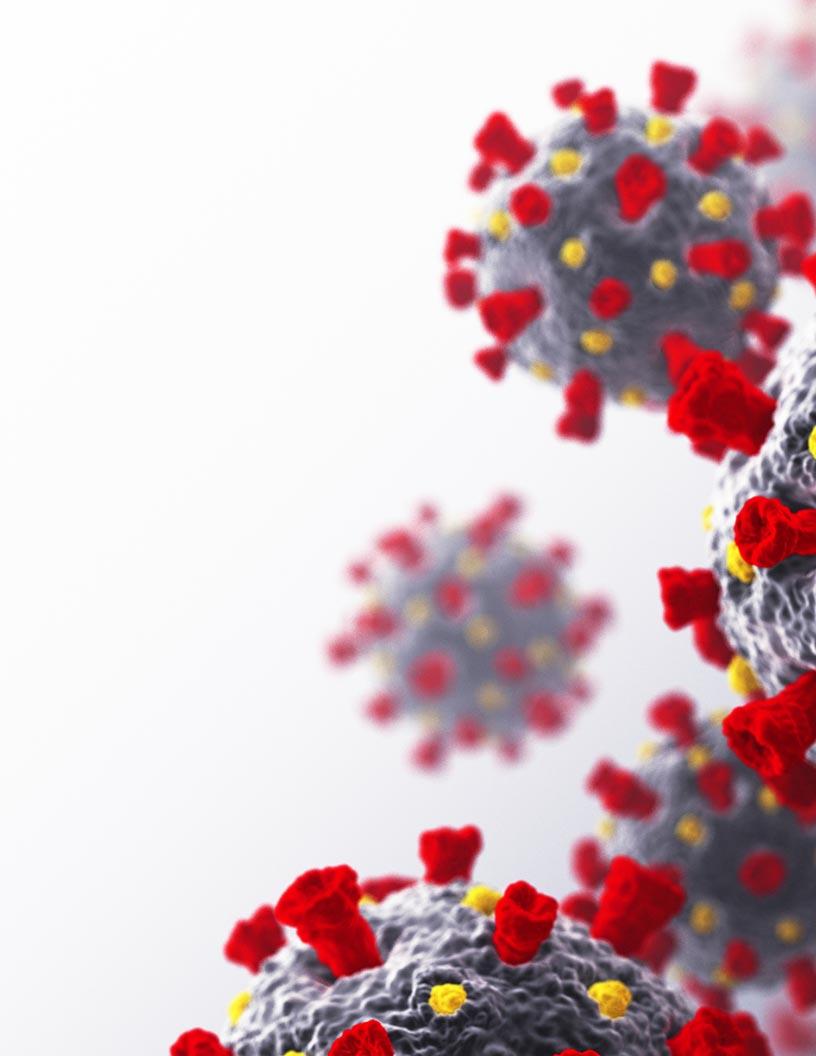 Bacterial Disease Diagnostics Market Analysis, Size, and Forecast 2025-2029: North America (US and Canada), Europe (France, Germany, Italy, UK), Middle East and Africa , APAC (China, India, Japan, South Korea), South America , and Rest of World (ROW)