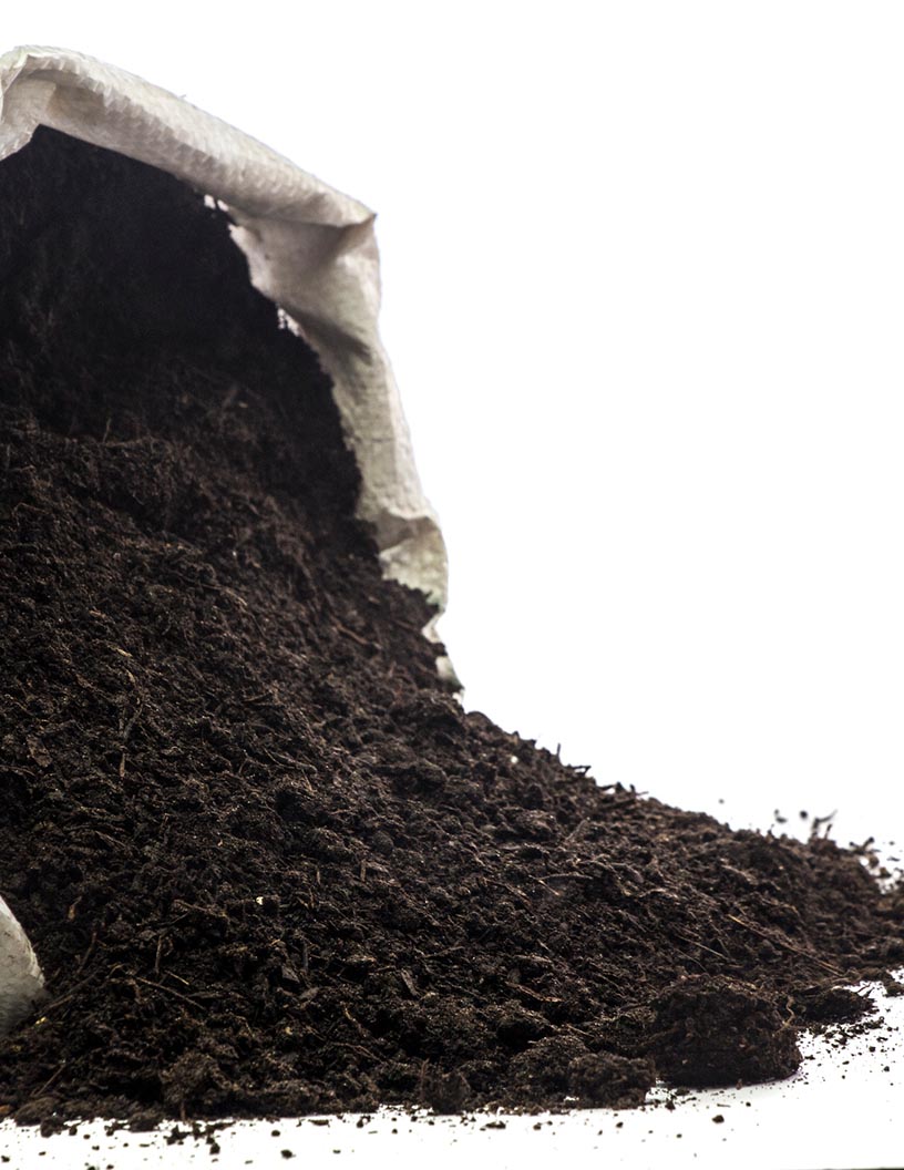 Soil Fumigants Market Analysis APAC, North America, Europe, South America, Middle East and Africa - US, China, Japan, India, UK - Size and Forecast 2024-2028