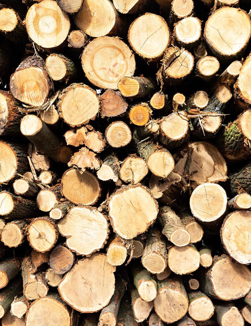 Roundwood Market by Type and Geography - Forecast and Analysis 2022-2026