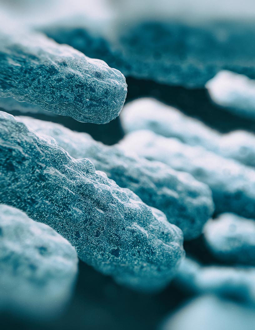 Legionella Testing Market Analysis North America, Europe, Asia, Rest of World (ROW) - US, UK, France, Germany, China - Size and Forecast 2024-2028