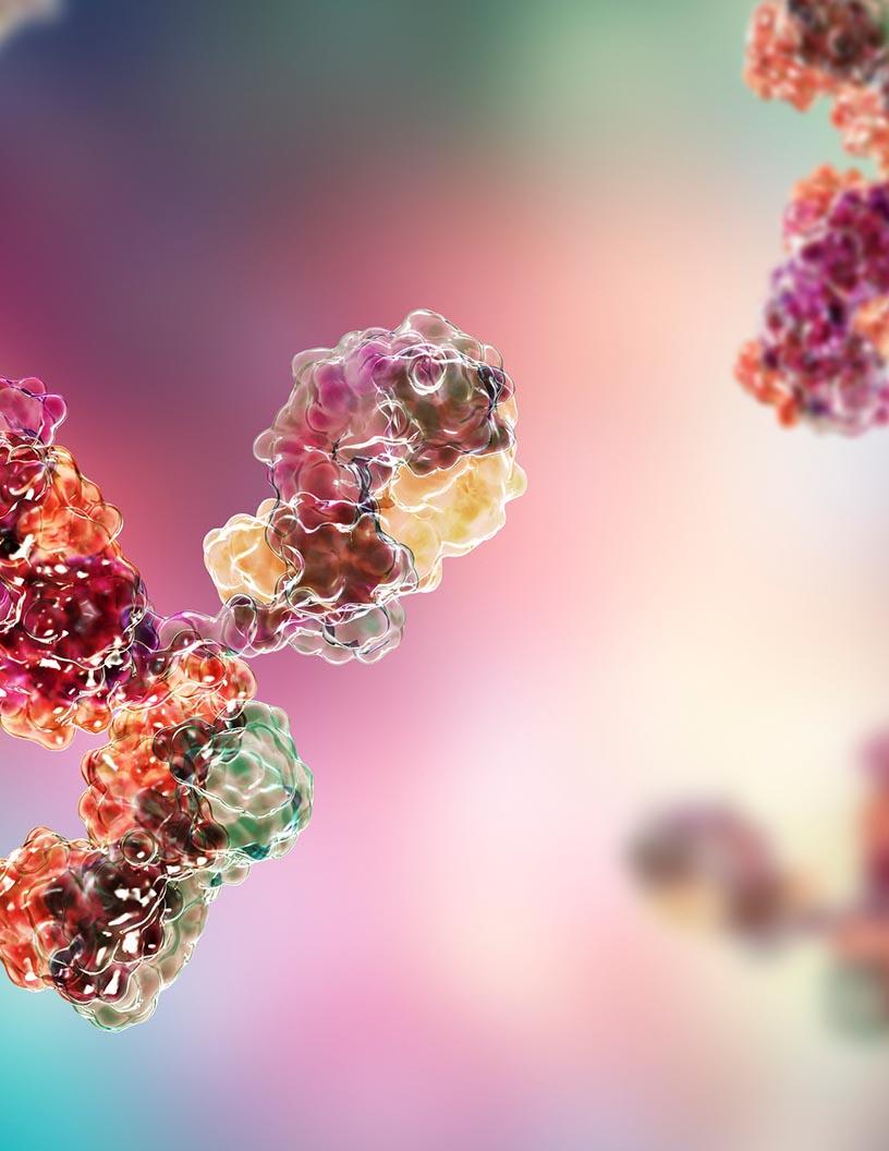Bispecific Antibodies For Cancer Market Analysis North America, Europe, Asia, Rest of World (ROW) - US, Ireland, Canada, India, China, Hungary, Germany, Japan, UK, Brazil - Size and Forecast 2025-2029
