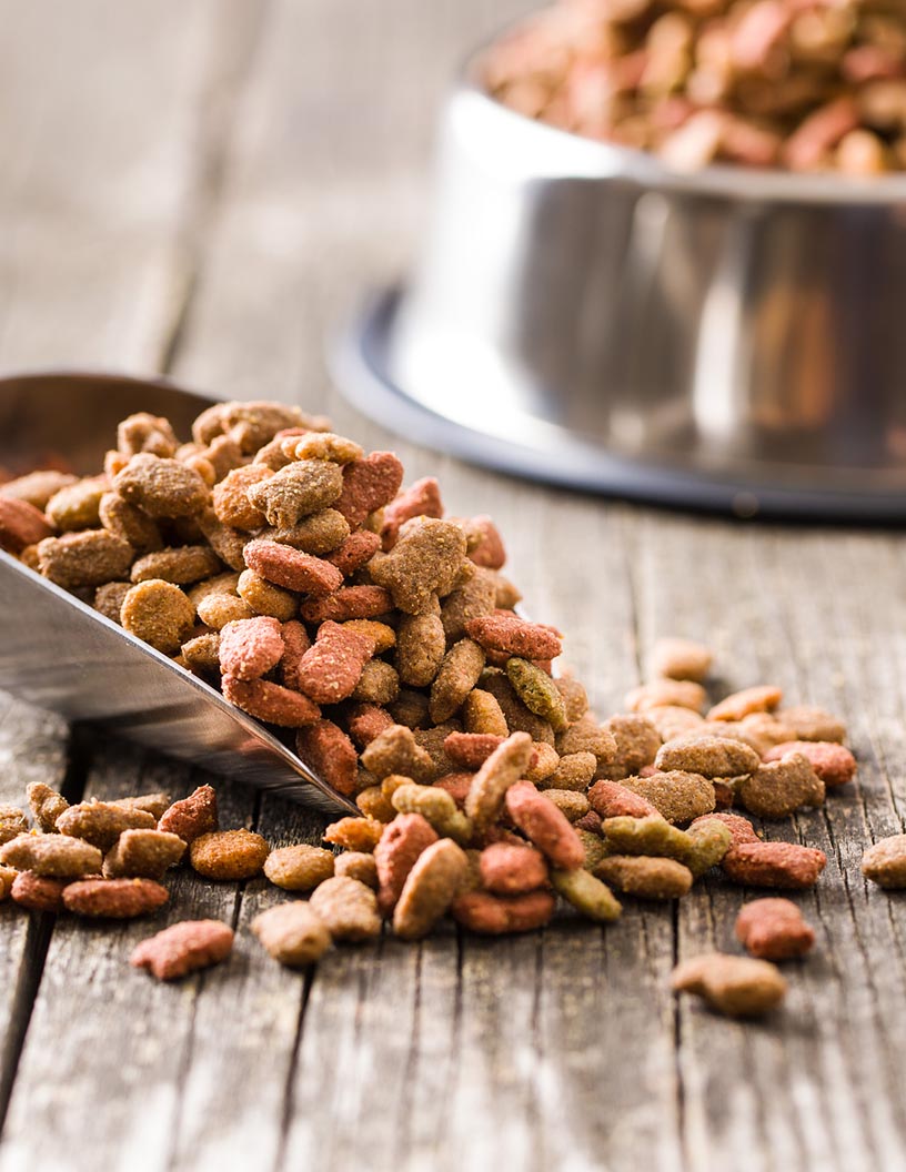 Pet Food Market in US by Product, Distribution channel, and Type - Forecast and Analysis 2022-2026