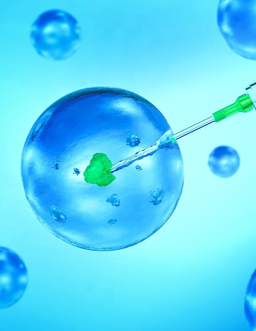 In-Vitro Toxicity Testing Market Analysis, Size, and Forecast 2025-2029: North America (US and Canada), Europe (France, Germany, Italy, and UK), APAC (China, India, and Japan), South America (Brazil), and Rest of World (ROW)