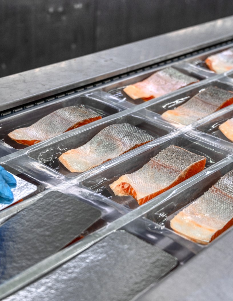 Seafood Processing Equipment Market Analysis APAC, Europe, North America, South America, Middle East and Africa - China, US, Spain, Indonesia, Canada - Size and Forecast 2024-2028