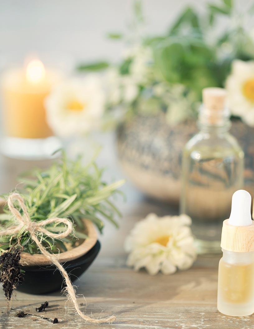 Basil Essential Oil Market Analysis Europe, North America, APAC, South America, Middle East and Africa - US, Germany, The Netherlands, China, Canada - Size and Forecast 2024-2028