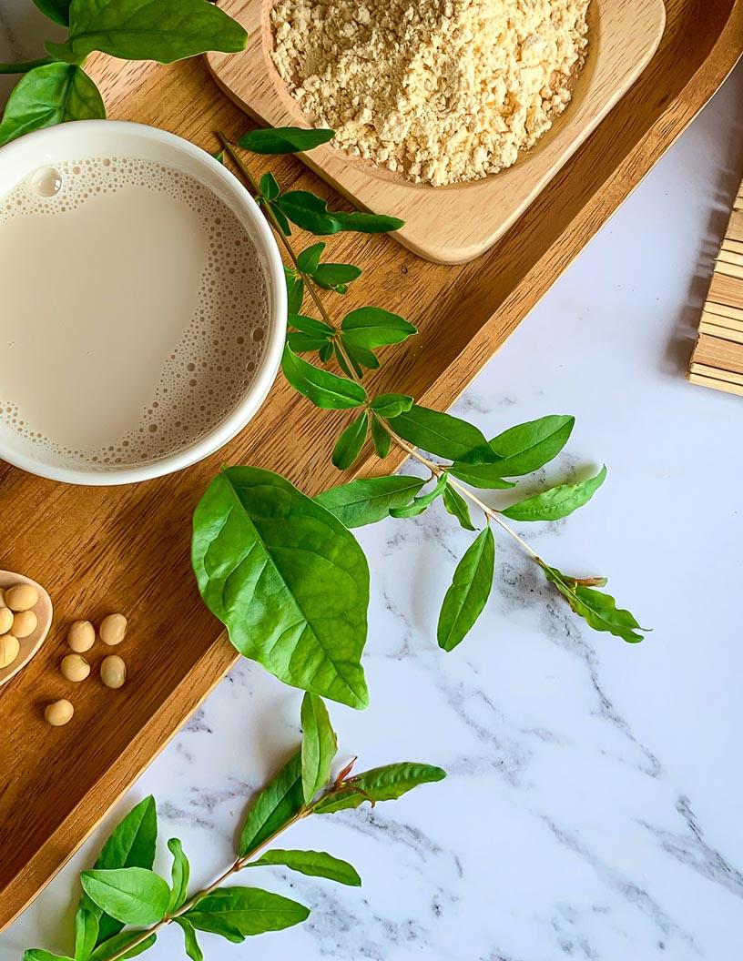 Isoflavones Market Analysis North America, APAC, Europe, South America, Middle East and Africa - US, China, Germany, Japan - Size and Forecast 2024-2028