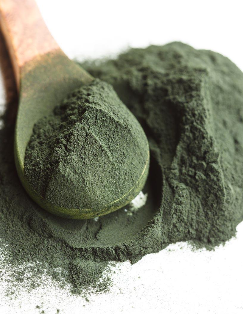 Algae Protein Market Analysis Europe, North America, APAC, South America, Middle East and Africa - France, US, China, Ireland, Canada, Spain, India, Japan, Mexico, Brazil - Size and Forecast 2024-2028