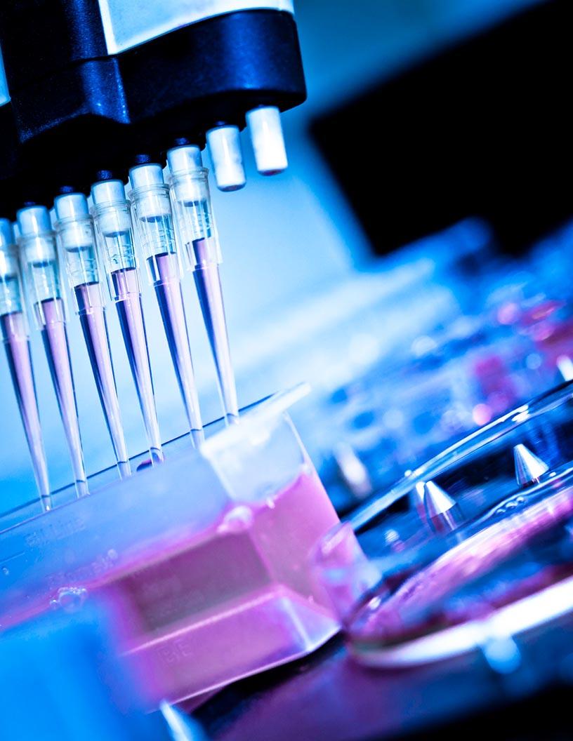 Automated Analyzers Market Size - North America, Europe, Asia, Rest of World (ROW) - US, UK, China, Germany, France, Japan, Canada, India, South Korea, Italy - Trends and Forecast Report 2024-2028