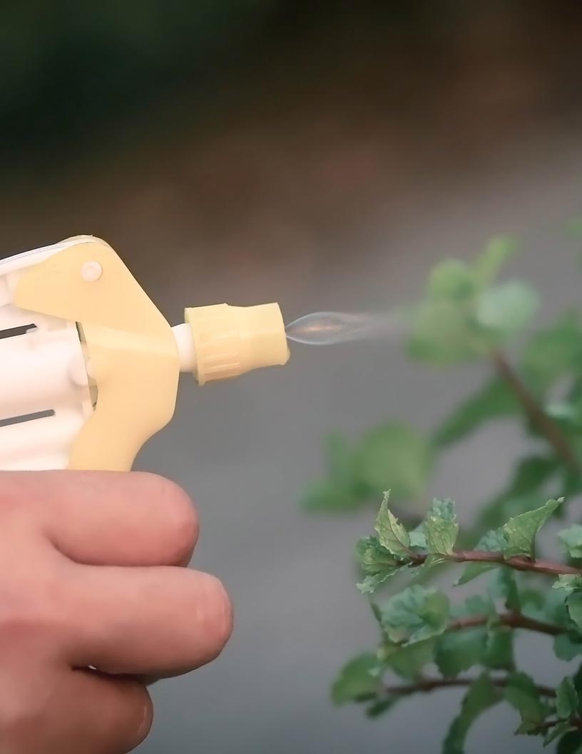 Bioinsecticides Market Analysis North America, APAC, South America, Europe, Middle East and Africa - US, China, Brazil, Canada, India - Size and Forecast 2024-2028