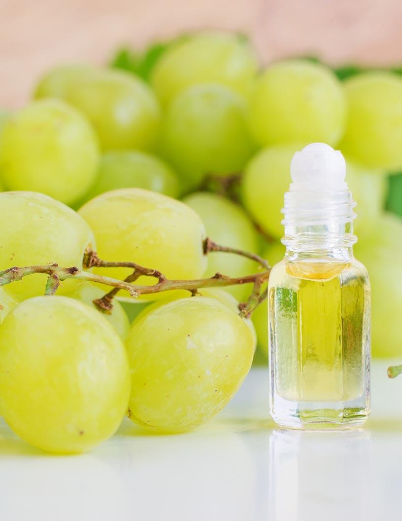 Grapeseed Extract Market Analysis, Size, and Forecast 2025-2029: North America (US, Canada, and Mexico), Europe (France, Germany, and UK), APAC (China, India, and Japan), South America (Brazil), and Rest of World (ROW)