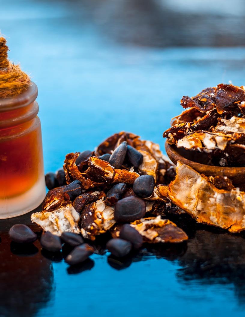 Vegetable Concentrates Market Analysis North America, Europe, APAC, South America, Middle East and Africa - US, China, Germany, Canada, UK - Size and Forecast 2024-2028