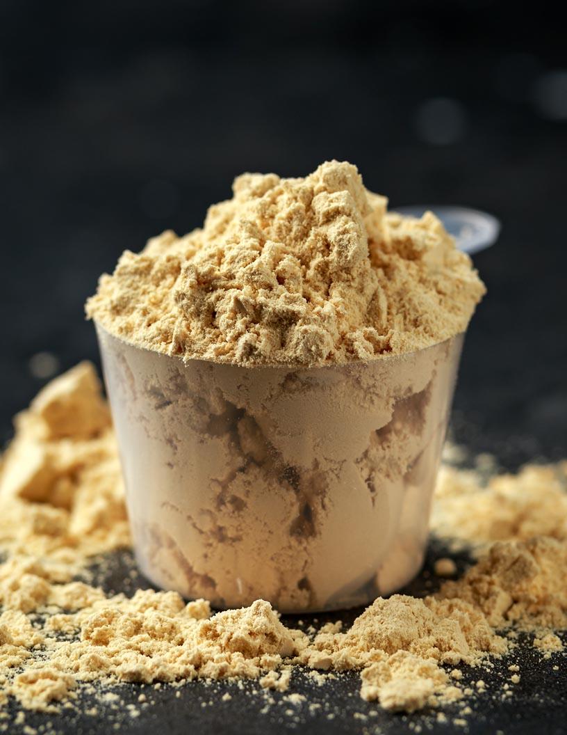 Organic Whey Protein Market Analysis North America, Europe, APAC, South America, Middle East and Africa - US, Germany, Canada, France, The Netherlands, China, India, Brazil, Japan, Saudi Arabia - Size and Forecast 2024-2028