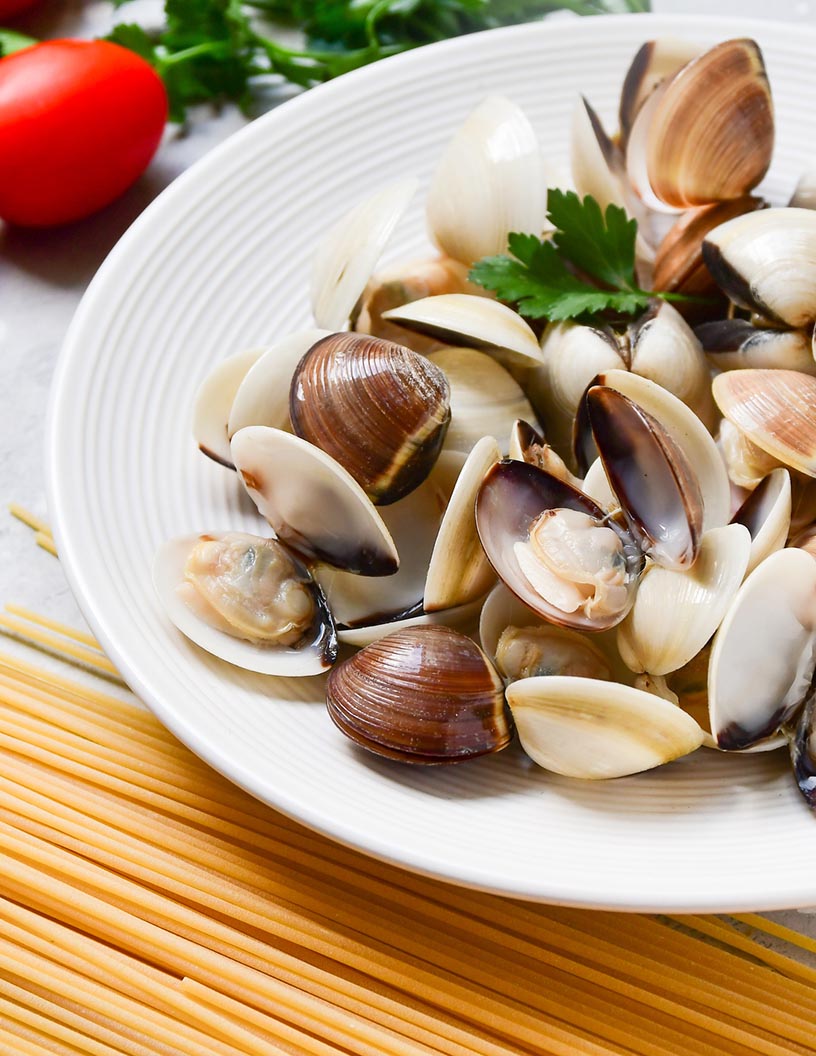 Bivalvia Market Analysis APAC, Europe, North America, South America, Middle East and Africa - US, China, Japan, India, France - Size and Forecast 2024-2028