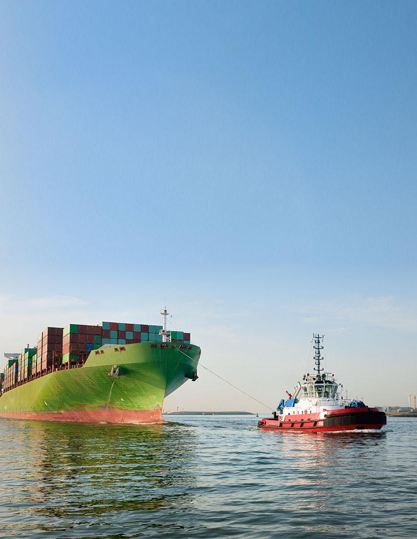 Tugboats Services Market Analysis, Size, and Forecast 2025-2029: North America (US), Europe (Germany, Italy, The Netherlands, and UK), APAC (China, Japan, Singapore, South Korea, and Vietnam), and Rest of World (ROW)