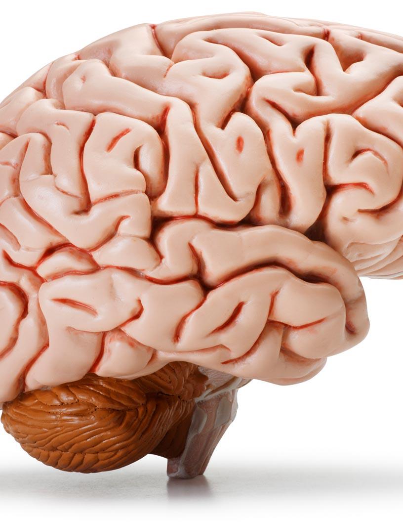 Neurophotonics Market Analysis, Size, and Forecast 2025-2029: North America (US, Canada, and Mexico), Europe (France, Germany, Italy, and UK), APAC (China, India, and Japan), and Rest of World (ROW)