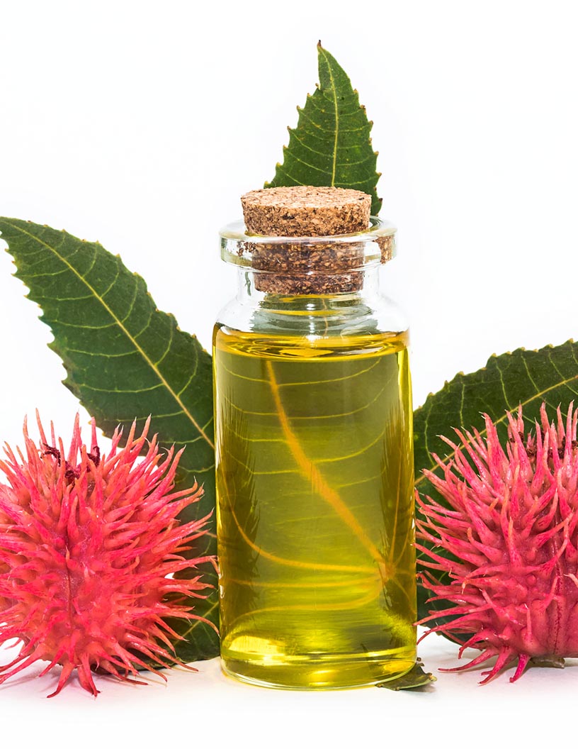 Castor Oil And Its Derivatives Market Analysis APAC, Europe, North America, South America, Middle East and Africa - China, India, Brazil, US, France - Size and Forecast 2024-2028