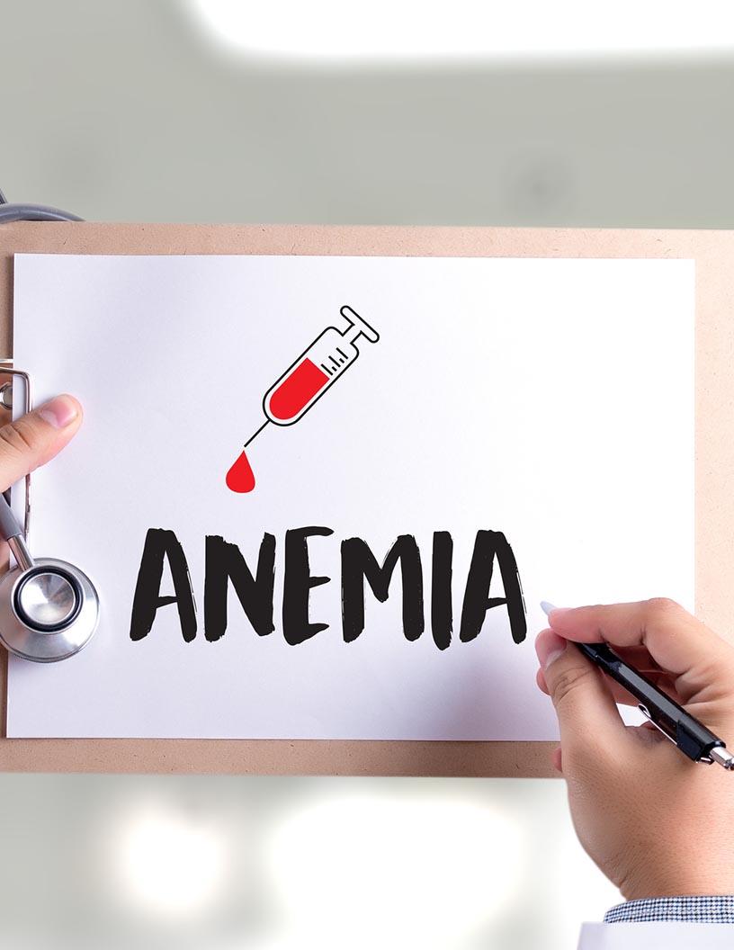Renal Anemia Therapeutics Market Analysis, Size, and Forecast 2025-2029: North America (US and Canada), Europe (France, Germany, Italy, and UK), APAC (China, India, and Japan), South America (Brazil), and Rest of World (ROW)