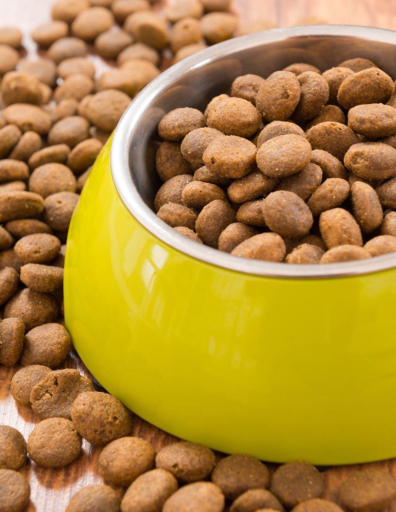 Taiwan Pet Food Market Analysis, Size, and Forecast 2025-2029