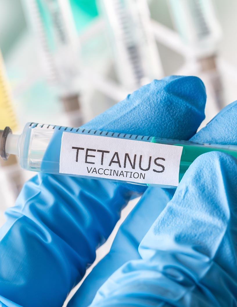 Tetanus Toxoid Vaccine Market Analysis, Size, and Forecast 2025-2029: North America (US, Canada, and Mexico), Europe (France, Germany, Italy, Spain, and UK), APAC (China and Japan), and Rest of World (ROW)
