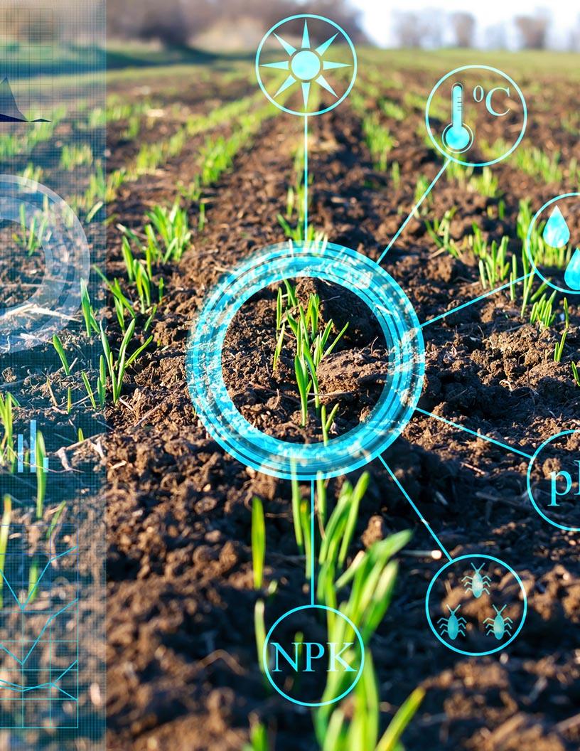 Agricultural Adjuvant Market Analysis, Size, and Forecast 2025-2029: North America (US and Canada), Europe (France, Germany, Italy, and UK), Middle East and Africa (Egypt, KSA, Oman, and UAE), APAC (China, India, and Japan), South America (Argentina and Brazil), and Rest of World (ROW)