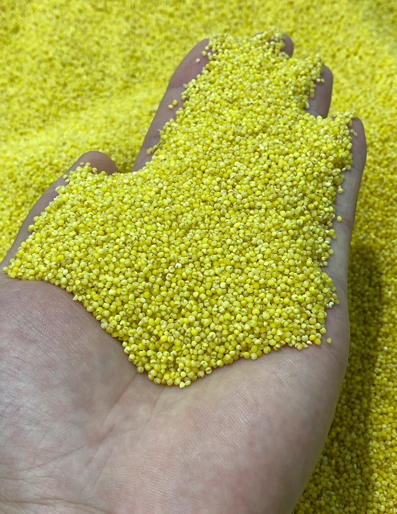 Food Processing Ingredient Market Analysis Europe, APAC, North America, South America, Middle East and Africa - US, China, Germany, UK, Japan - Size and Forecast 2024-2028