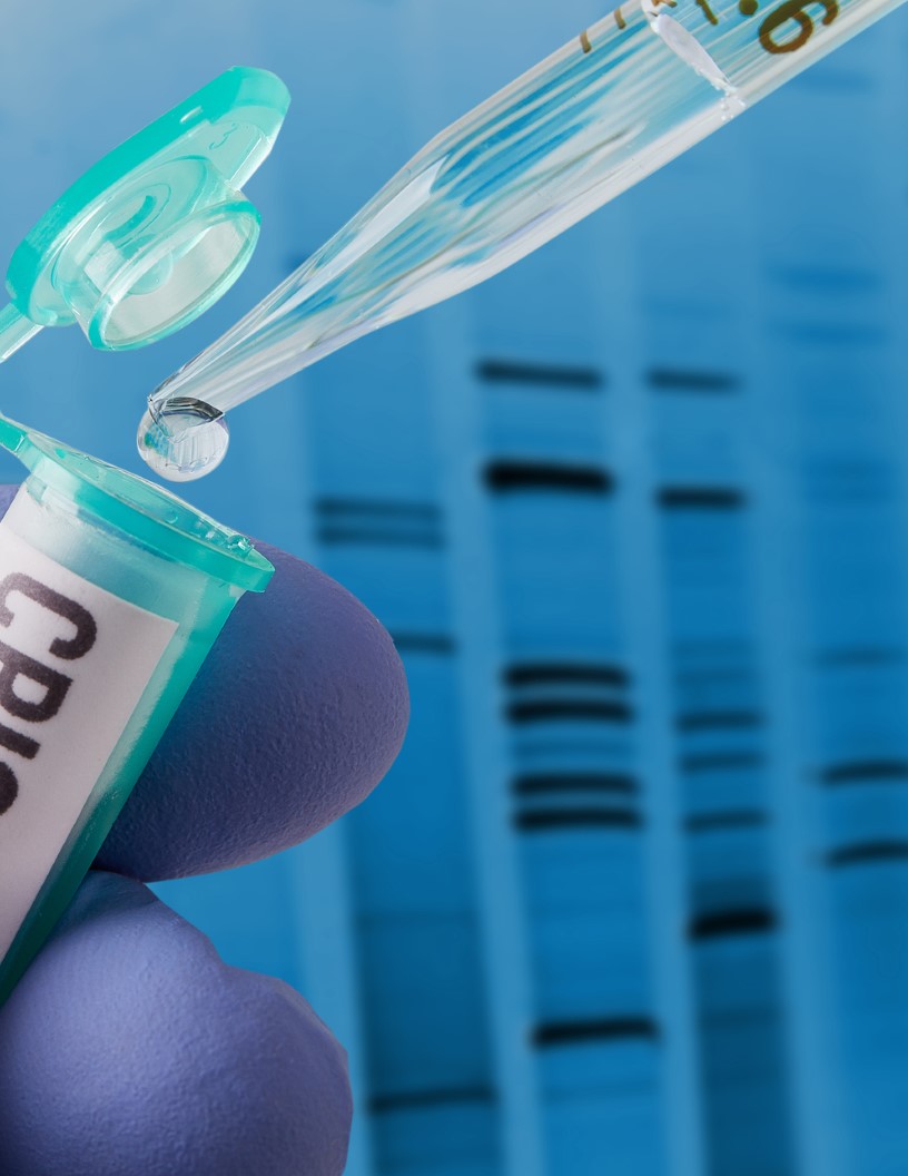 CRISPR Technology Market Analysis North America, Europe, Asia, Rest of World (ROW) - US, UK, Canada, Germany, Japan - Size and Forecast 2024-2028