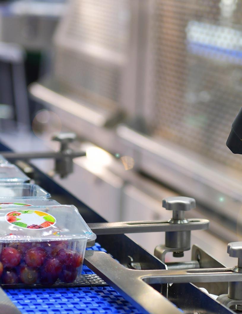 Digital Food Management Solutions Market Analysis, Size, and Forecast 2025-2029: North America (US and Canada), Europe (France, Germany, and UK), APAC (China, India, Japan, and South Korea), South America (Brazil), and Rest of World (ROW)