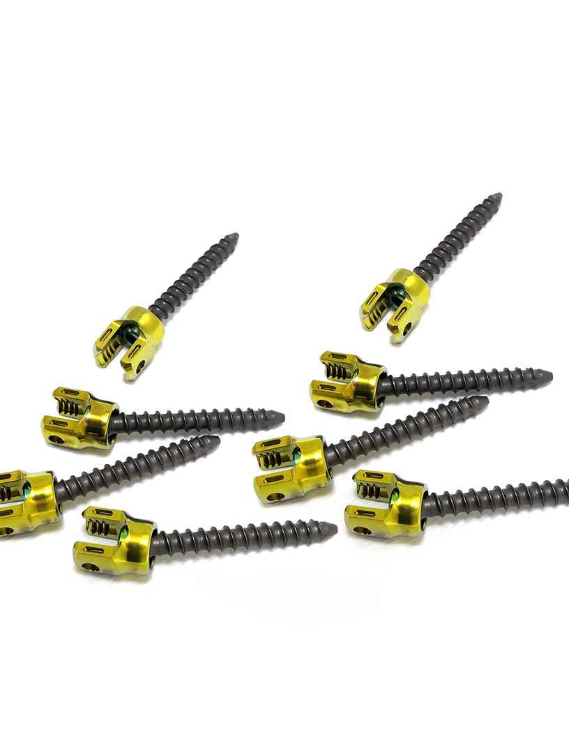Orthopedic Pedicle Screws Market Analysis North America, Europe, Asia, Rest of World (ROW) - US, Canada, Germany, UK, China - Size and Forecast 2024-2028