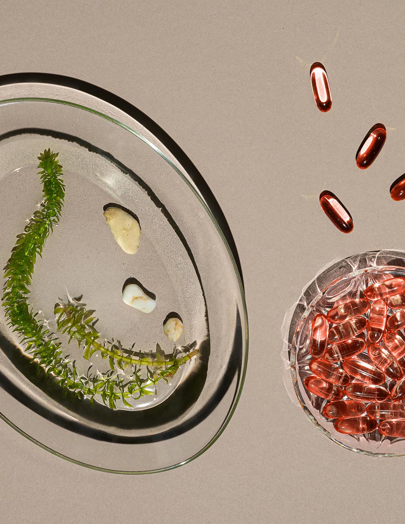 Algae Omega 3 Ingredient Market Analysis North America, Europe, APAC, South America, Middle East and Africa - US, Germany, UK, China, France - Size and Forecast 2024-2028