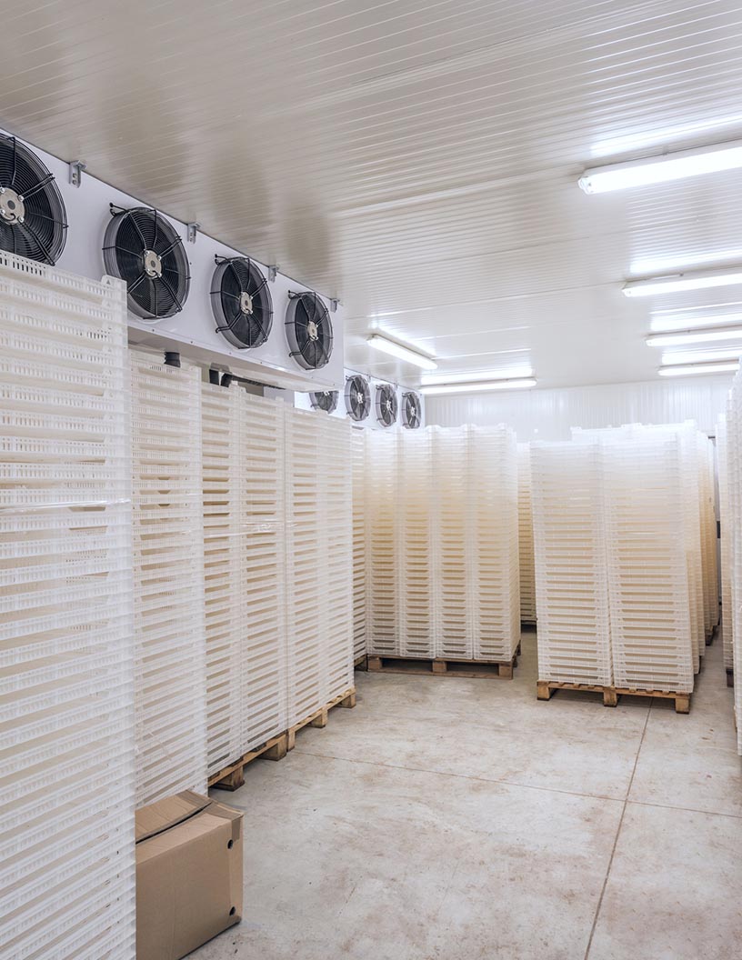 Lyophilization Equipment and Services Market Analysis North America, Europe, Asia, Rest of World (ROW) - US, Germany, UK, France, Japan - Size and Forecast 2024-2028