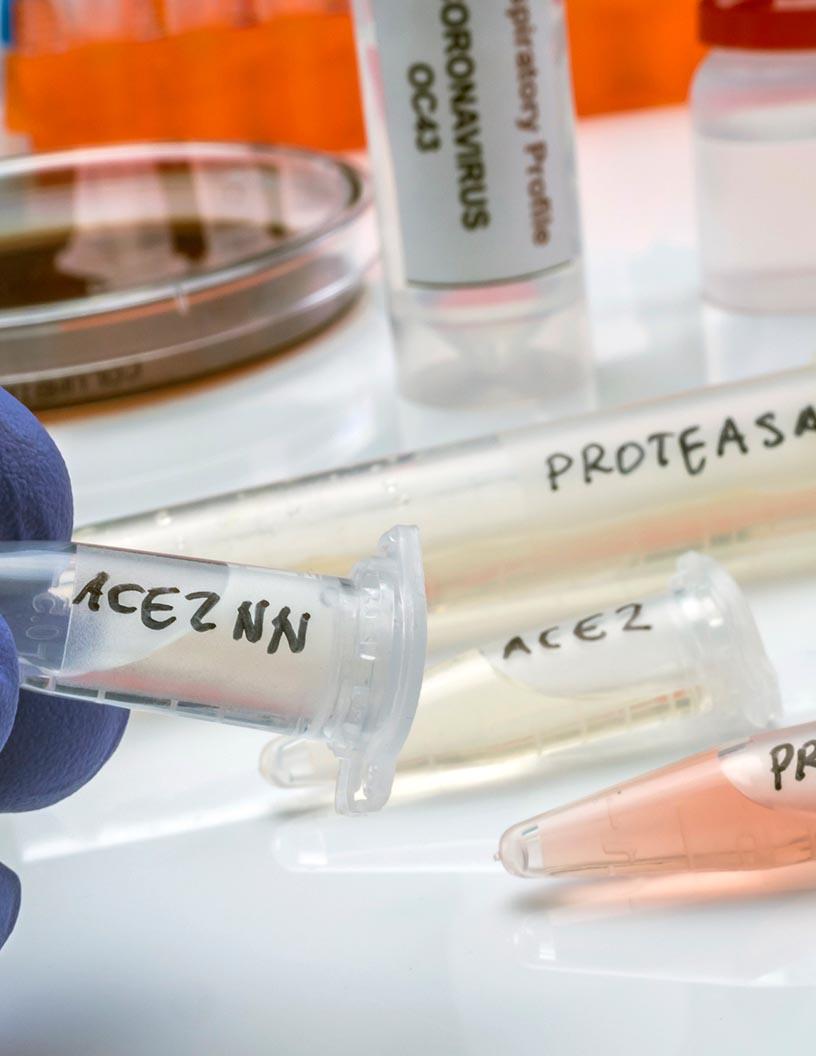 Proteasome Inhibitors Market Analysis, Size, and Forecast 2025-2029: North America (US, Canada, and Mexico), Europe (France, Germany, Italy, and UK), APAC (China, India, and Japan), and Rest of World (ROW)