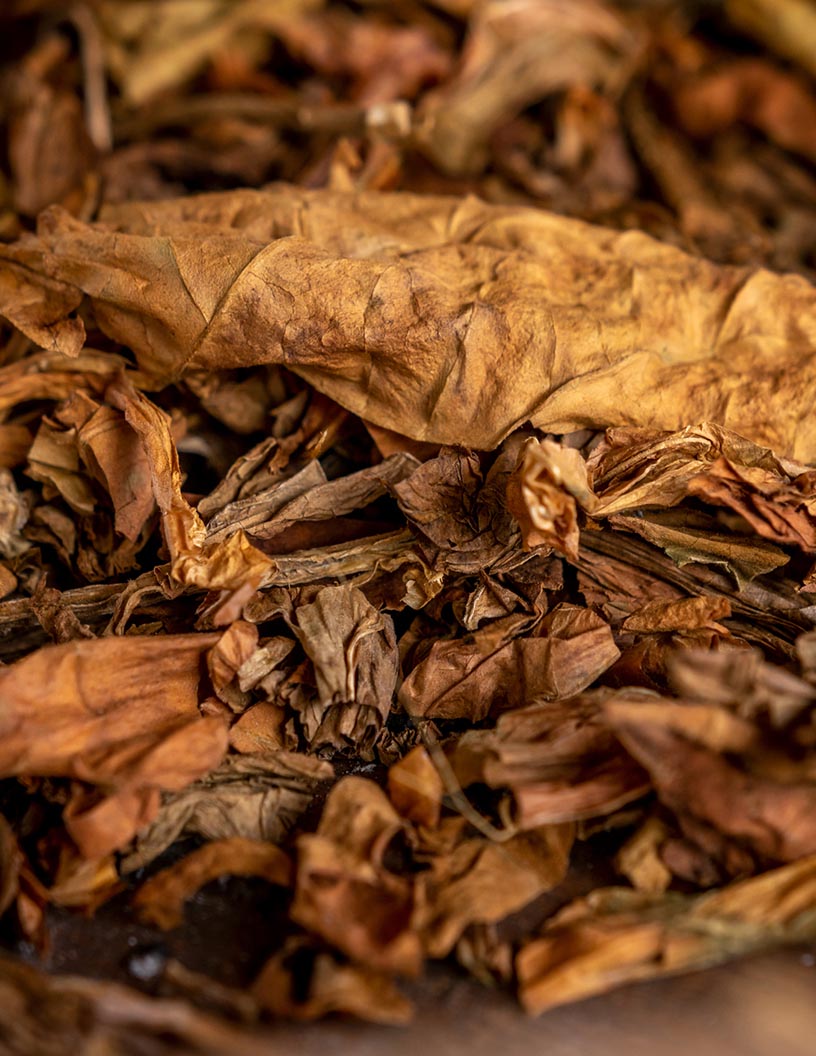 Tobacco Market in Cuba by Product and Type - Forecast and Analysis 2022-2026