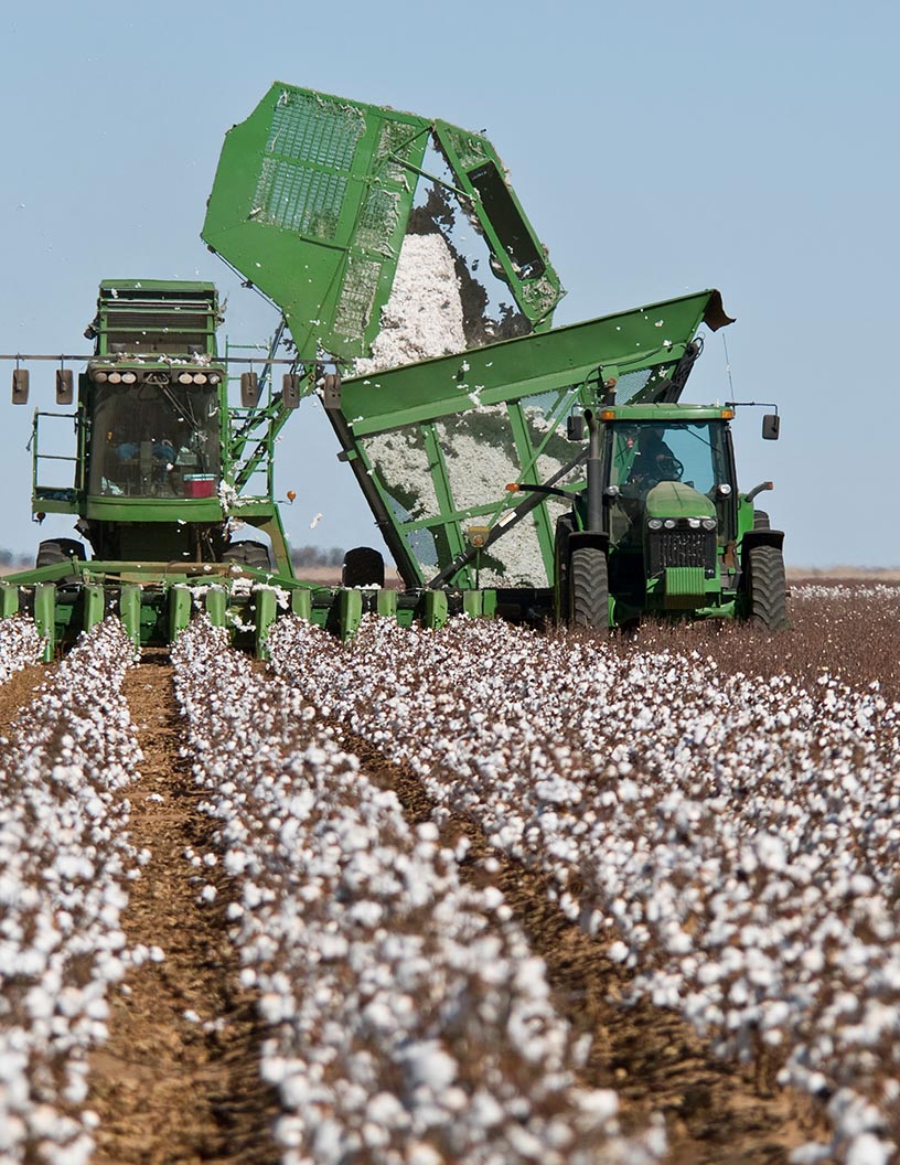 Cotton Harvester Market Analysis APAC, North America, Europe, South America, Middle East and Africa - US, China, Australia, Germany, UK - Size and Forecast 2024-2028