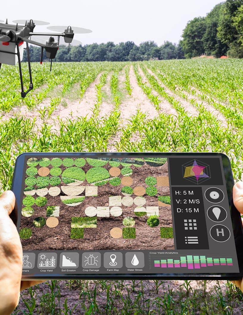 Precision Agriculture Market Analysis, Size, and Forecast 2025-2029: North America (US and Canada), Europe (France, Germany, Italy, Spain, and UK), APAC (Australia, China, and India), and Rest of World (ROW)