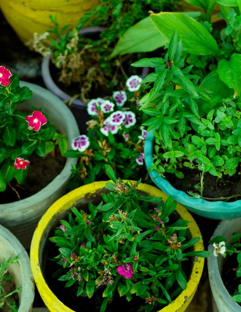 Flower Pots And Planters Market Analysis, Size, and Forecast 2025-2029: North America (Canada and Mexico), Europe (France, Germany, and UK), Middle East and Africa (UAE), APAC (Australia, China, India, Japan, and South Korea), South America (Brazil), and Rest of World (ROW)