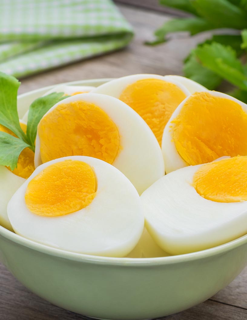 Egg Protein Market Analysis North America, APAC, Europe, South America, Middle East and Africa - US, China, Canada, France, India - Size and Forecast 2024-2028