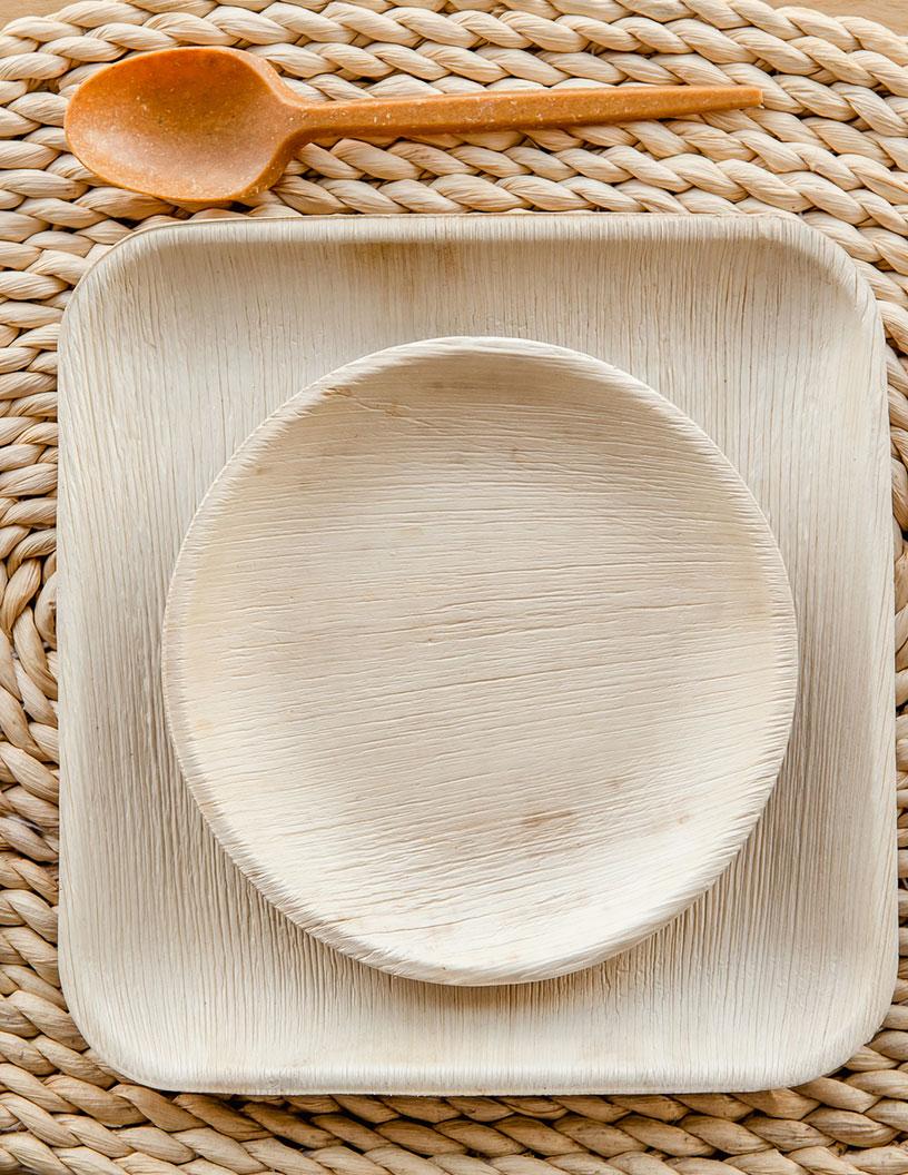 Bamboo Plate Market Analysis, Size, and Forecast 2025-2029: North America (US), Europe (Germany), APAC (China, India, Indonesia, Japan, South Korea, and Vietnam), South America (Argentina and Brazil), and Rest of World (ROW)
