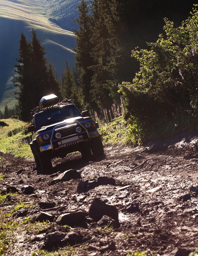 Utility Vehicle Market Growth, Size, Trends, Analysis Report by Type, Application, Region and Segment Forecast 2022-2026