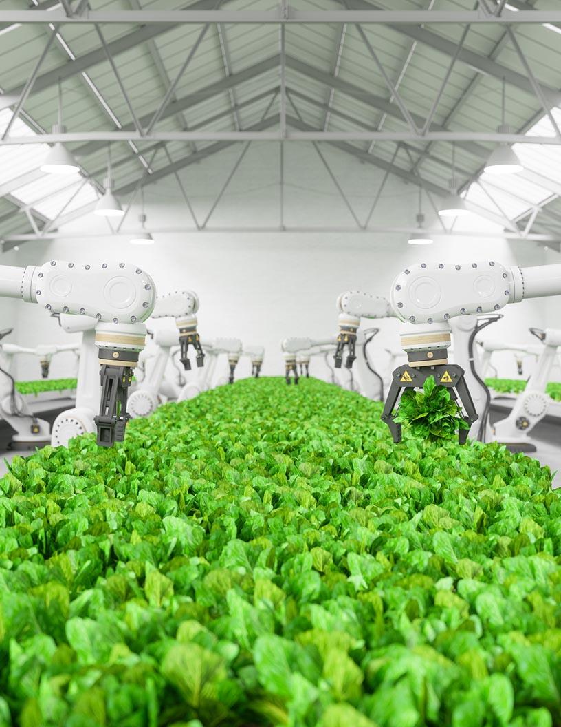 Smart Indoor Garden Systems Market Analysis North America, Europe, APAC, Middle East and Africa, South America - US, Canada, China, UK, Japan, Germany, India, France, Australia, Italy - Size and Forecast 2025-2029