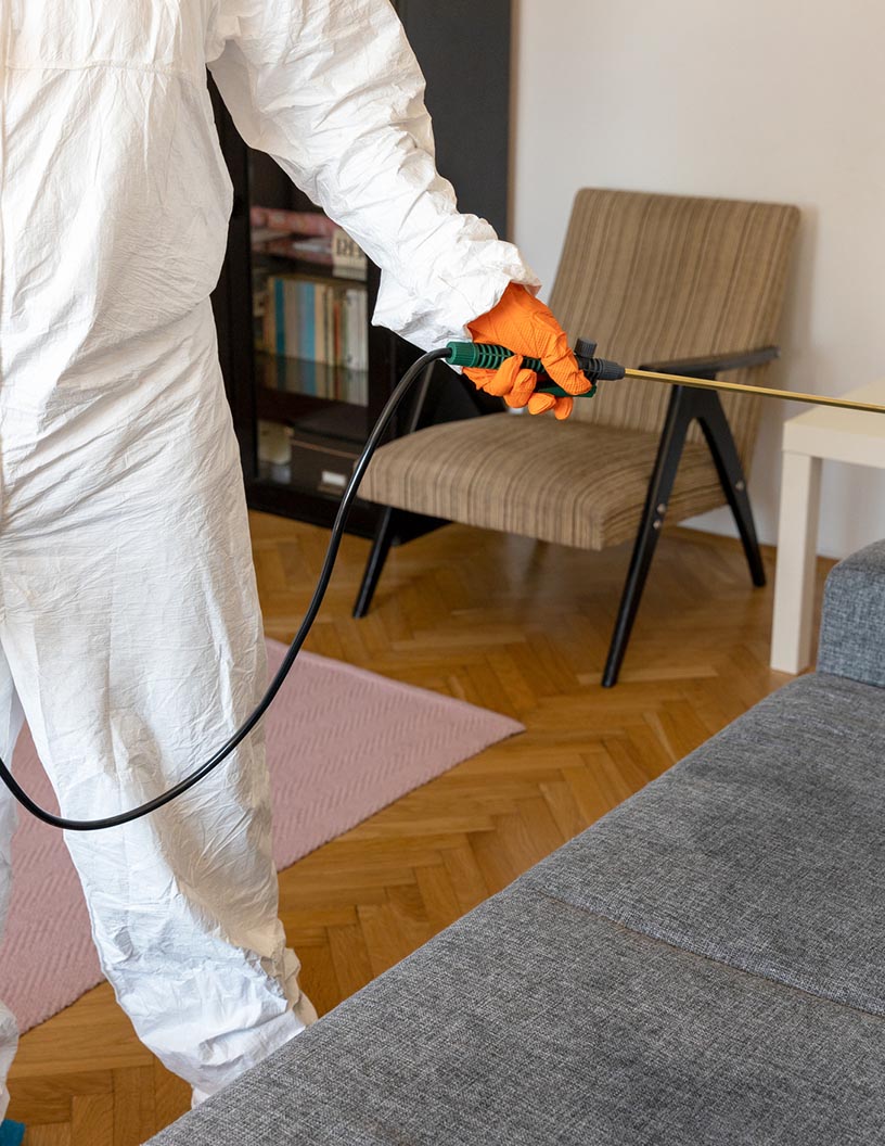 Sterilization Services Market Analysis, Size, and Forecast 2024-2028: North America (US and Canada), Europe (France, Germany, Italy, UK), Asia, and Rest of World (ROW)