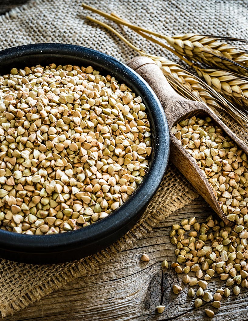 Wheat Protein Market Analysis, Size, and Forecast 2024-2028: North America (Canada and Mexico), Europe (France, Germany, and UK), Middle East and Africa (UAE), APAC (Indonesia, Malaysia, South Korea, and Thailand), South America (Brazil), and Rest of World (ROW)