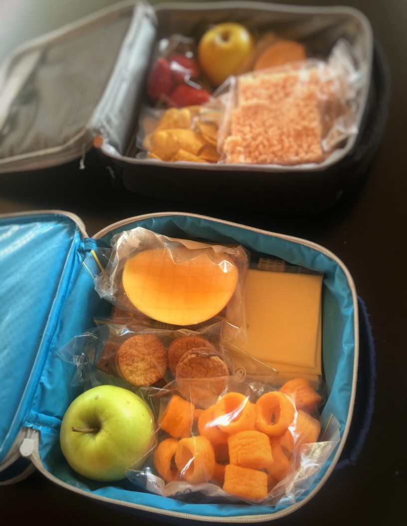 Lunch Bags Market Analysis, Size, and Forecast 2025-2029: APAC (Australia, China, India, Japan), Europe (France, Germany, Italy, UK), North America (US and Canada), South America , and Middle East and Africa