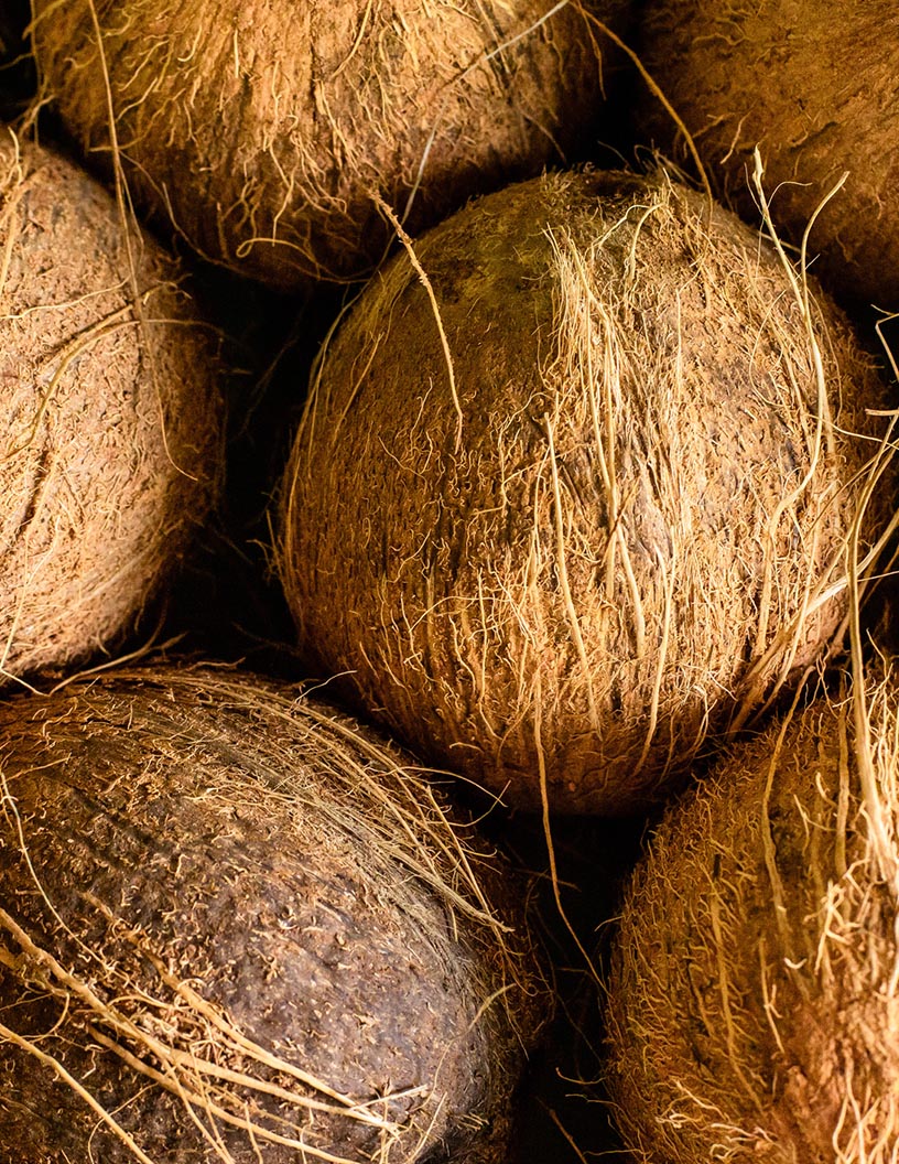 Copra Meal Market Analysis APAC, North America, Europe, South America, Middle East and Africa - US, The Philippines, India, Indonesia, Germany - Size and Forecast 2024-2028