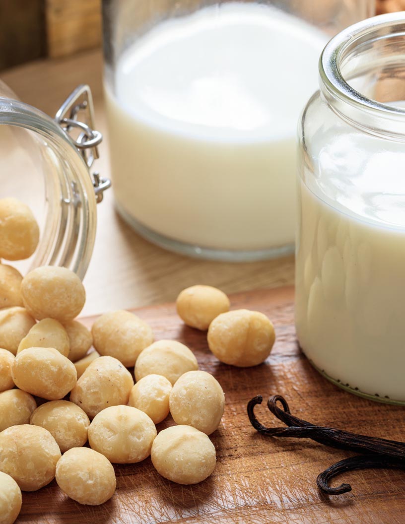 Macadamia Milk Market Analysis, Size, and Forecast 2024-2028: North America (Canada and Mexico), Europe (France, Germany, and UK), Middle East and Africa (UAE), APAC (China, India, Indonesia, Japan, Malaysia, South Korea, and Thailand), South America (Brazil), and Rest of World (ROW)