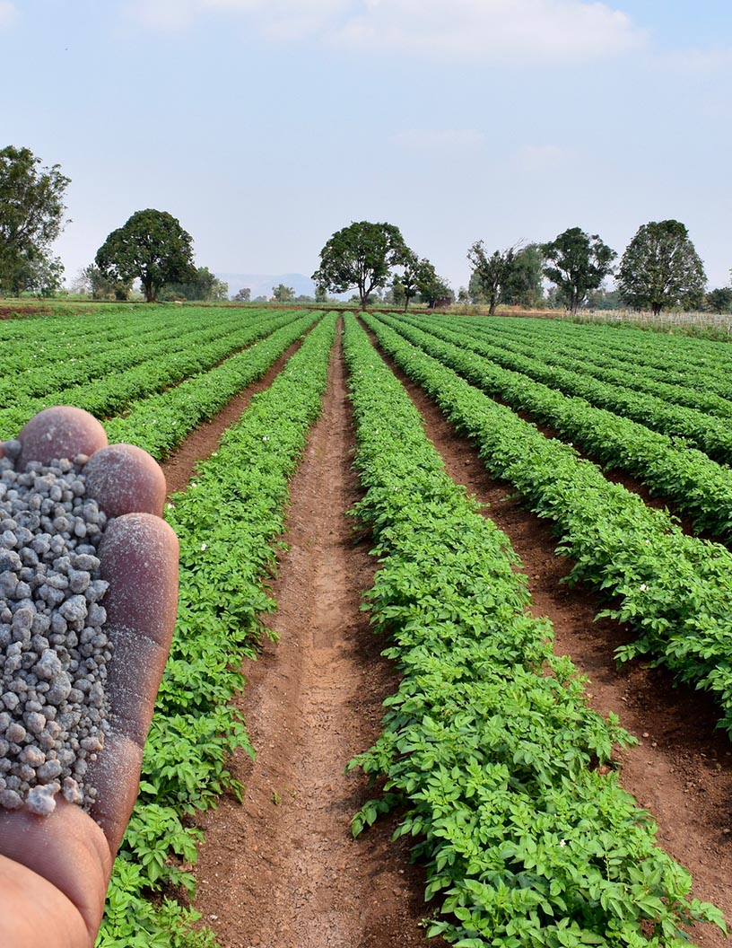 Azotobacter-Based Biofertilizer Market Analysis Europe, APAC, North America, South America, Middle East and Africa - Germany, China, US, France, India - Size and Forecast 2024-2028